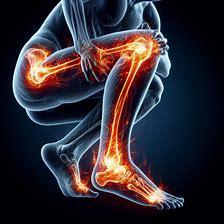 gelenkknorpelschäden-medical-herb-lab-