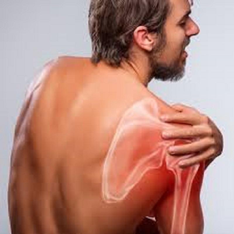 Kalkschulter. Medical Herb Lab