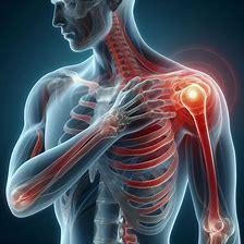 MKuskelschmerzen. Medical Herb Lab