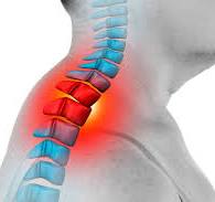 witwenbuckel-medical-herb-lab